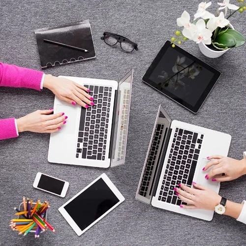 Taşova Web Tasarımcı